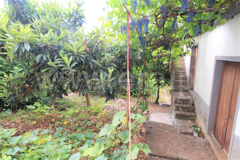 Moradia T3 à venda em São Roque, Funchal — foto 14