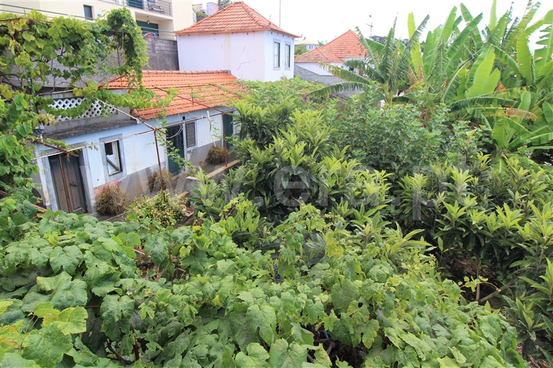Moradia T3 à venda em São Roque, Funchal — foto 6