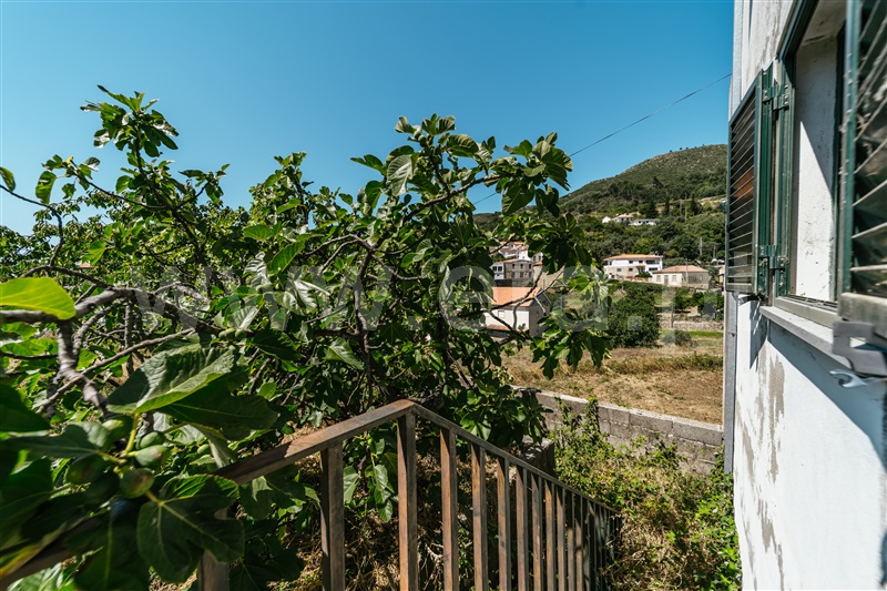 Moradia T3 com Terreno Fundão, Alpedrinha - 1415732 - 29