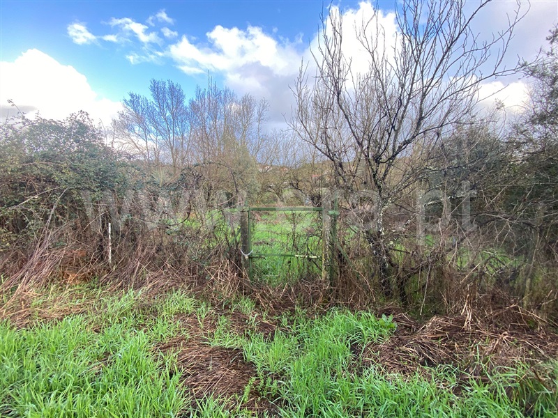 Moradia T3 à venda em Arcozelo, Gouveia — foto 10