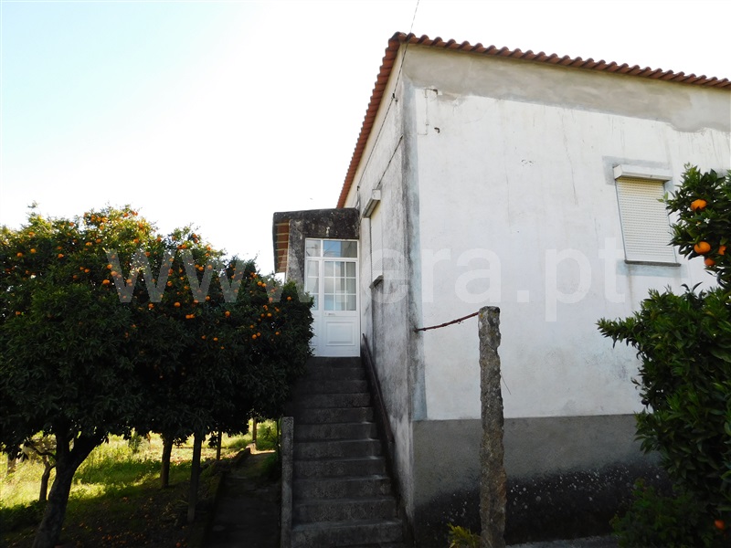 Moradia T3 Gouveia, Vila Nova de Tazem - 1249472 - 3
