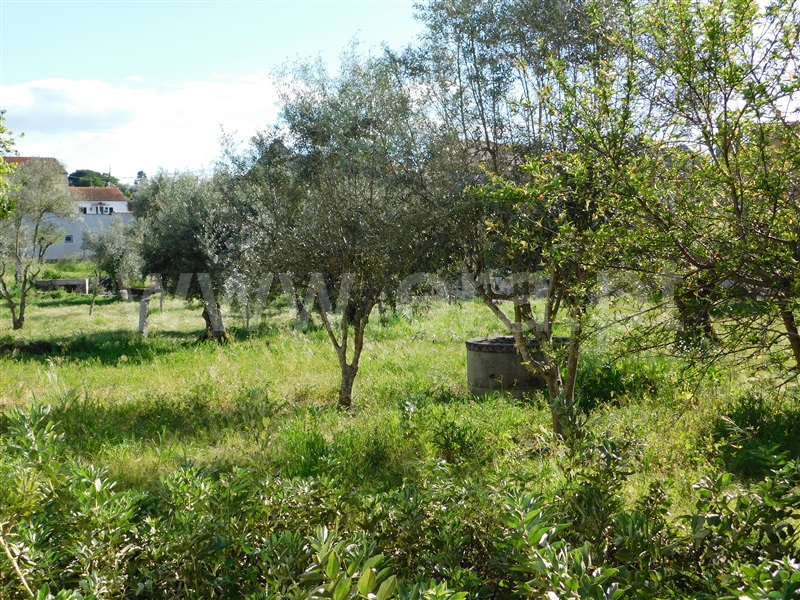 Moradia T3 Gouveia, Vila Nova de Tazem - 1249472 - 25