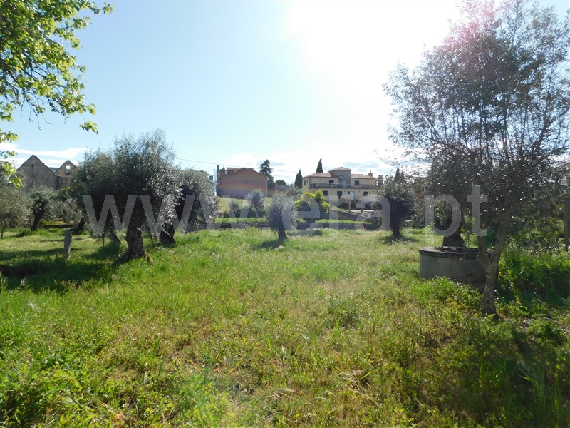 Moradia T3 Gouveia, Vila Nova de Tazem - 1249472 - 28