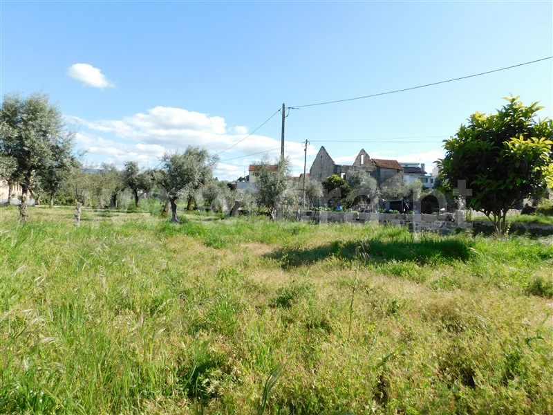 Moradia T3 Gouveia, Vila Nova de Tazem - 1249472 - 31