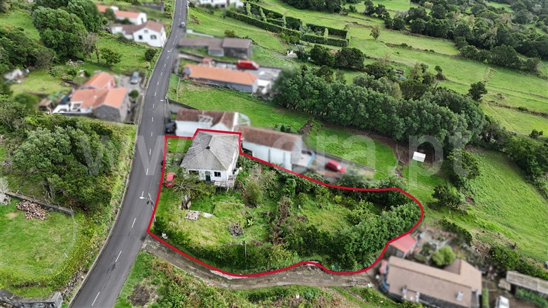 Moradia T3 com Quintal Horta, Capelo - 1481155 - 4