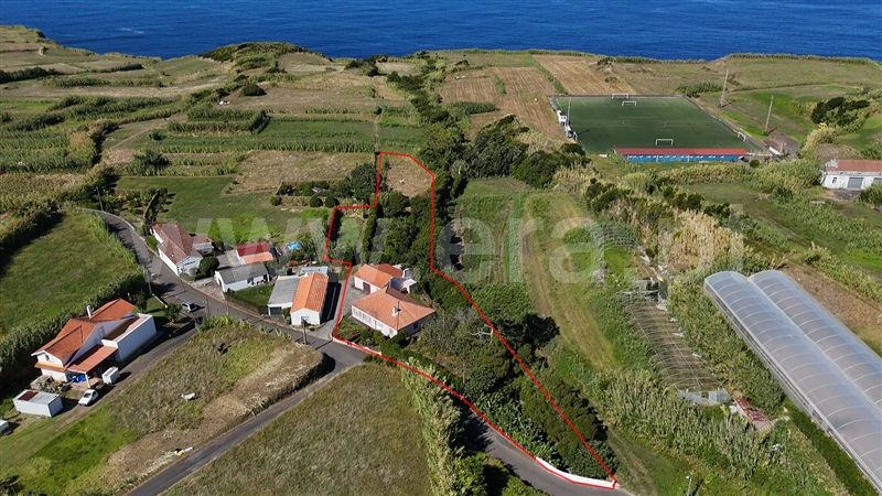 Moradia T3 / Horta, Cedros