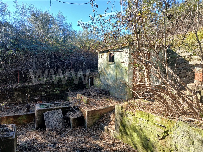 Moradia T3 Idanha-a-Nova, Proença-a-Velha - 1089400 - 19