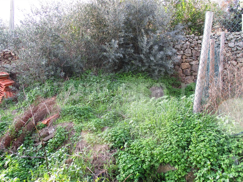 Moradia T3 Idanha-a-Nova, Alcafozes - 1276114 - 18