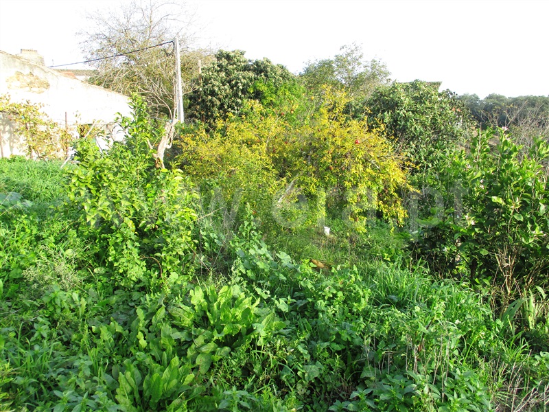 Moradia T3 Idanha-a-Nova, Alcafozes - 1276114 - 22