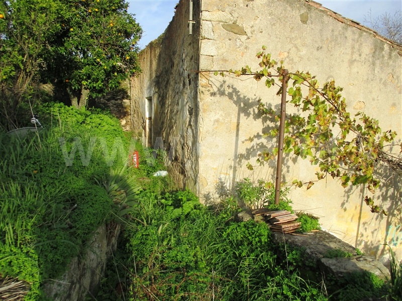Moradia T3 Idanha-a-Nova, Alcafozes - 1276114 - 23