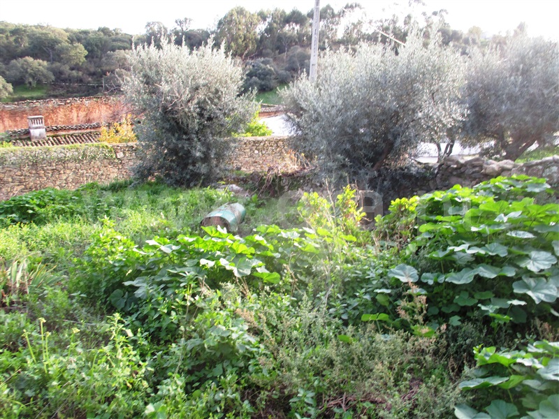 Moradia T3 Idanha-a-Nova, Alcafozes - 1276114 - 30