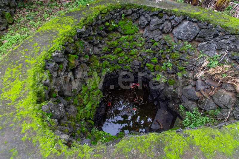 Moradia T3 / Lagoa (São Miguel), Lagoa