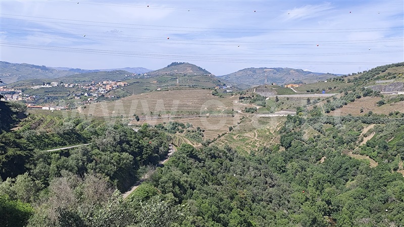 Moradia T3 à venda em Cambres, Lamego — foto 7