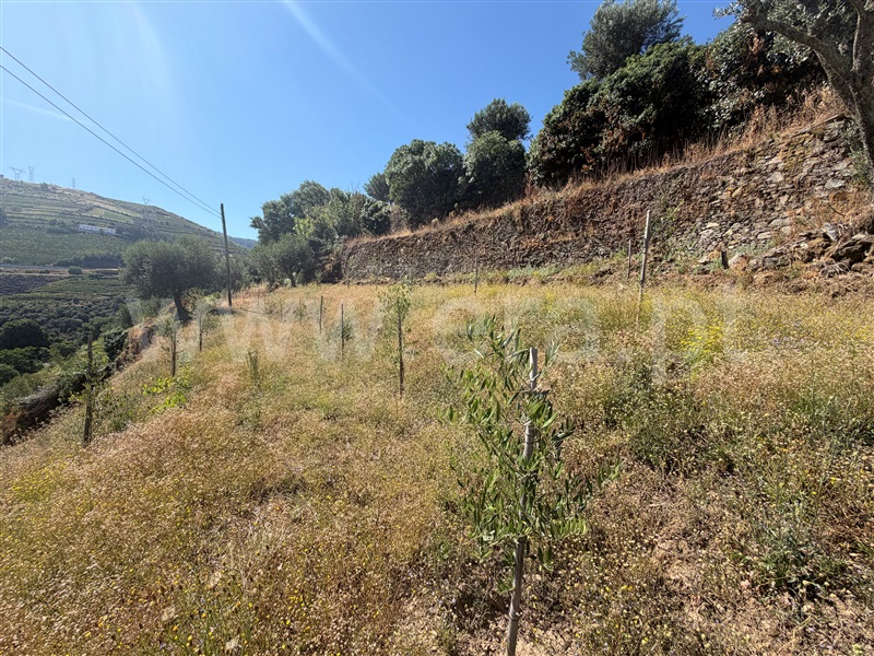 Moradia T3 à venda em Cambres, Lamego — foto 6