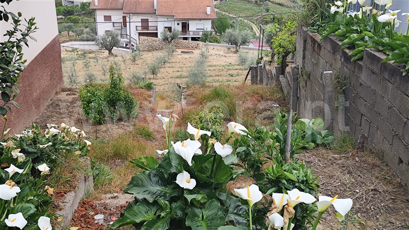 Moradia T3 à venda em Sande, Lamego — foto 18