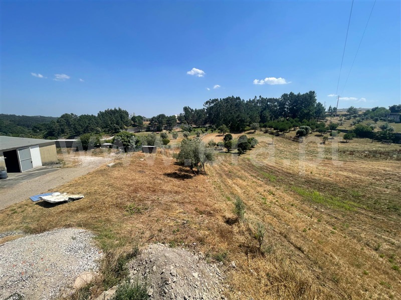 Moradia T3 Leiria, Santa Catarina da Serra e Chainça - 1497153 - 3