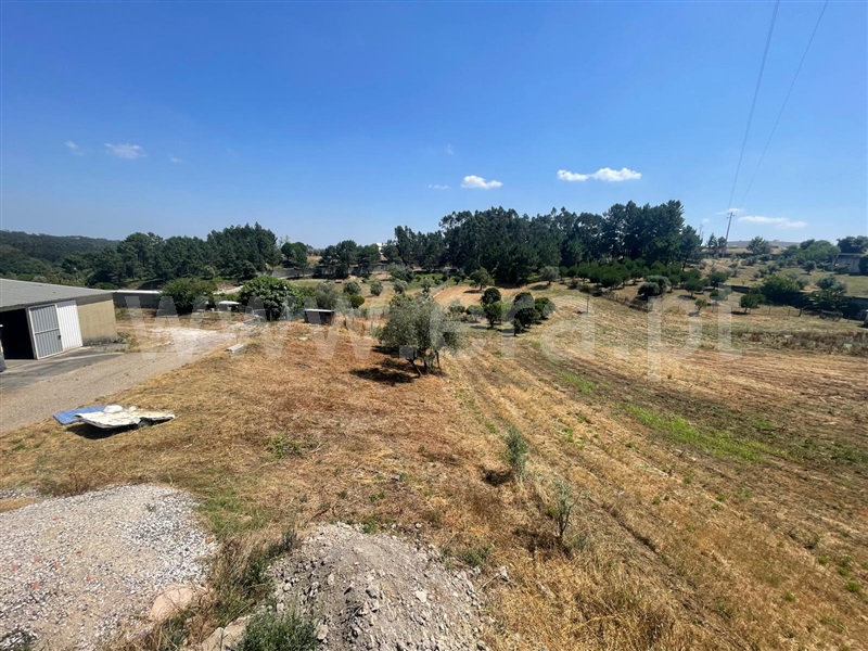 Moradia T3 Leiria, Santa Catarina da Serra e Chainça - 1497153 - 4