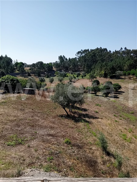 Moradia T3 Leiria, Santa Catarina da Serra e Chainça - 1497153 - 16