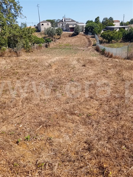 Moradia T3 Leiria, Santa Catarina da Serra e Chainça - 1497153 - 18