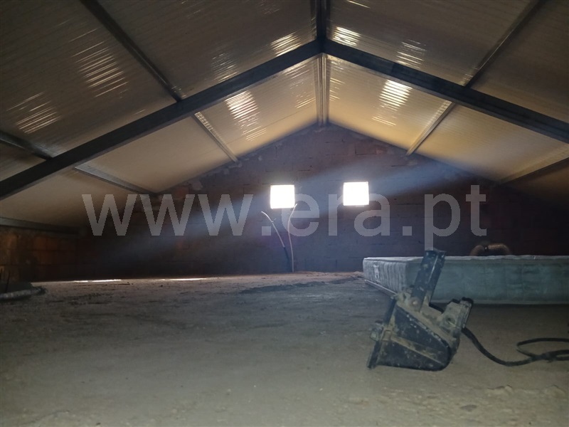 Moradia T3 Mação, Ortiga - 1488524 - 8