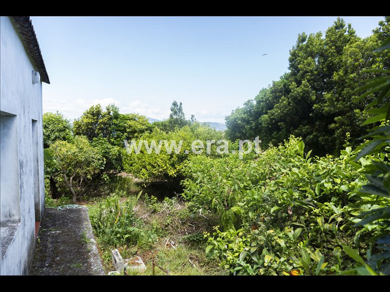 Moradia T3 à venda em Criação Velha, Madalena — foto 11