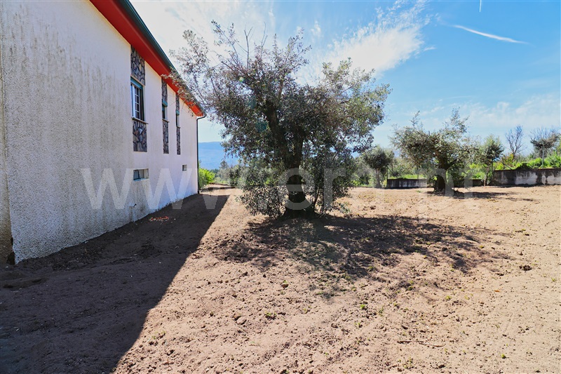 Moradia T3 à venda em Tavares (Chãs, Várzea e Travanca), Mangualde — foto 19