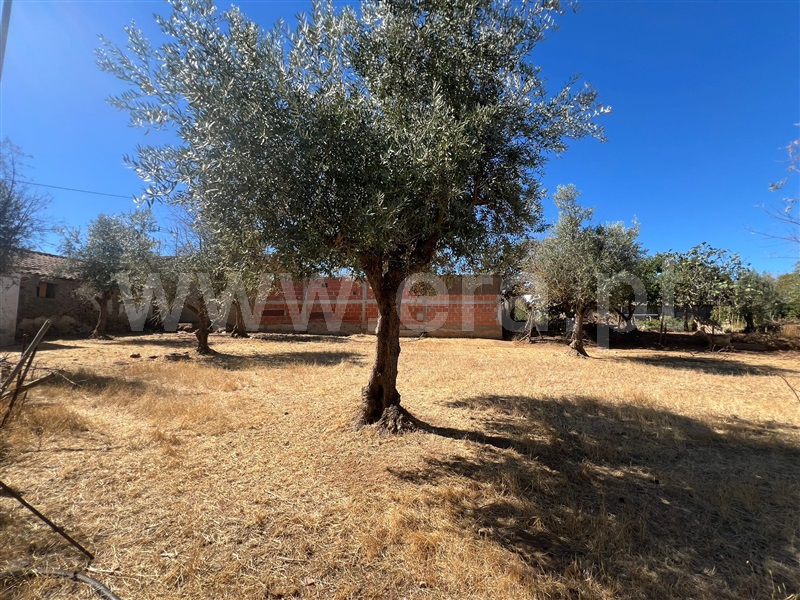 Moradia T3 com Terreno Monforte, Santo Aleixo - 1488628 - 13