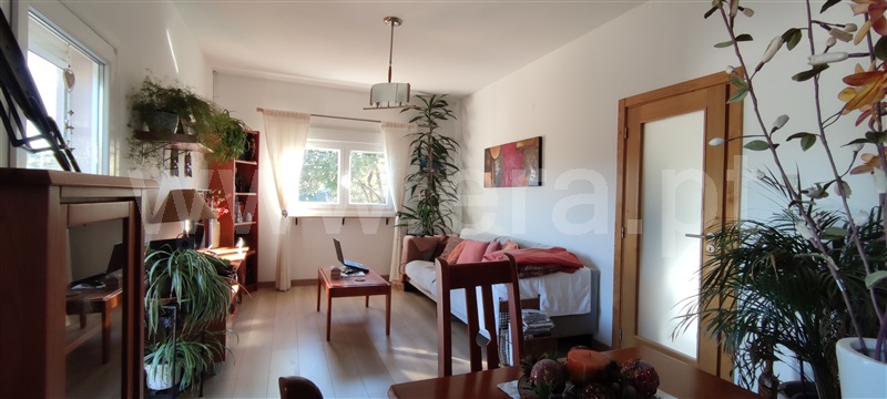 Moradia T3 Montalegre, Cervos - 1219366 - 36