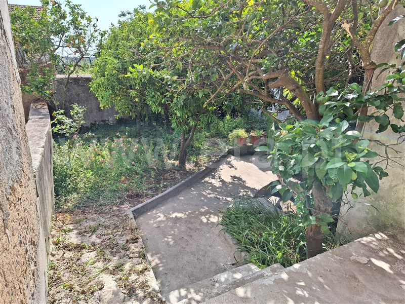 Moradia T3 com Quintal Montemor-o-Velho, Verride - 1308161 - 16