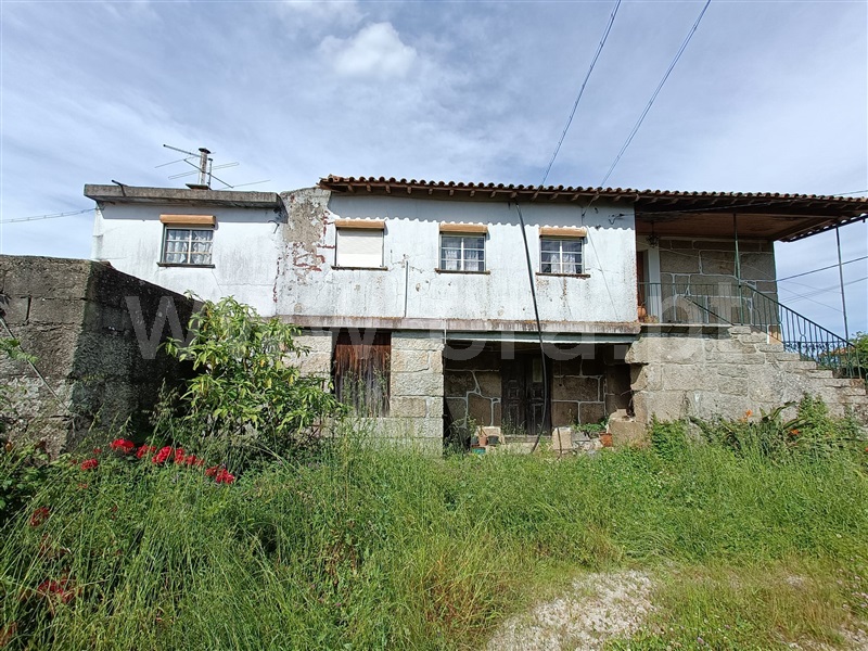 Moradia T3 com Terreno Nelas, Canas de Senhorim - 1464025 - 13