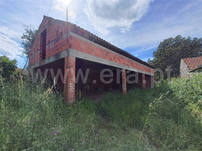 Moradia T3 com Terreno Nelas, Canas de Senhorim - 1464025 - 15