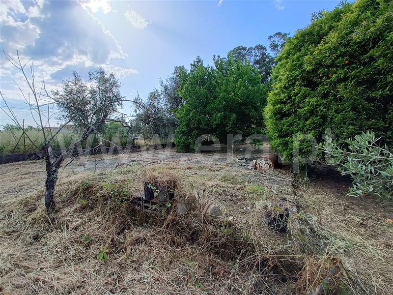 Moradia T3 com Terreno Nelas, Canas de Senhorim - 1464025 - 16