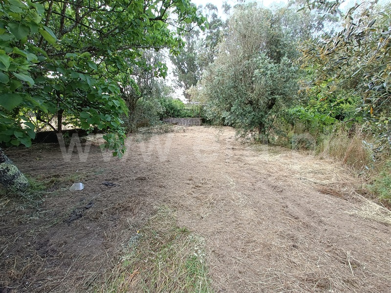 Moradia T3 com Terreno Nelas, Canas de Senhorim - 1464025 - 18