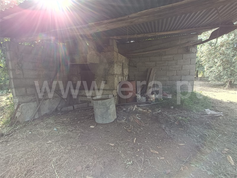 Moradia T3 com Terreno Nelas, Canas de Senhorim - 1464025 - 19
