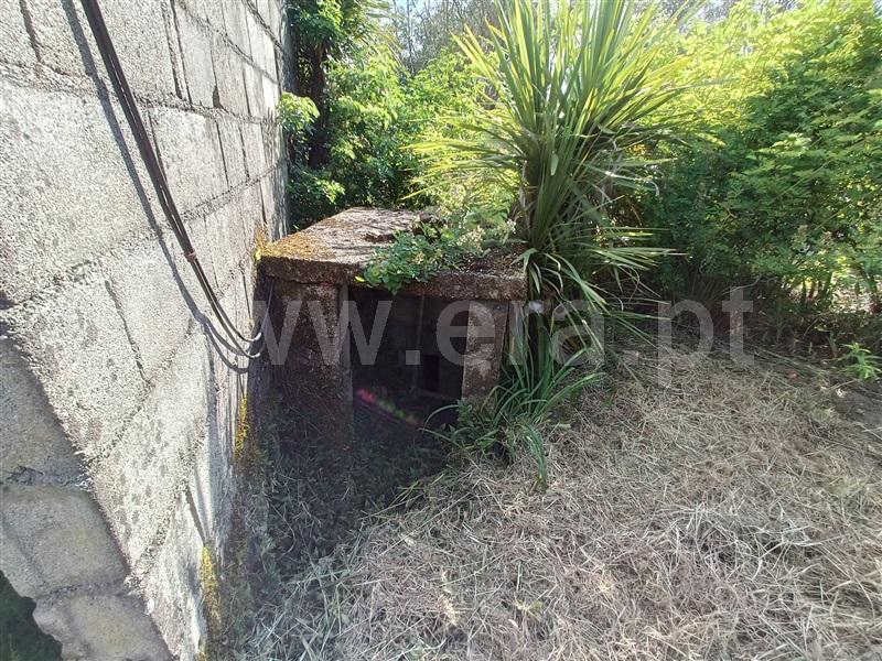 Moradia T3 com Terreno Nelas, Canas de Senhorim - 1464025 - 23