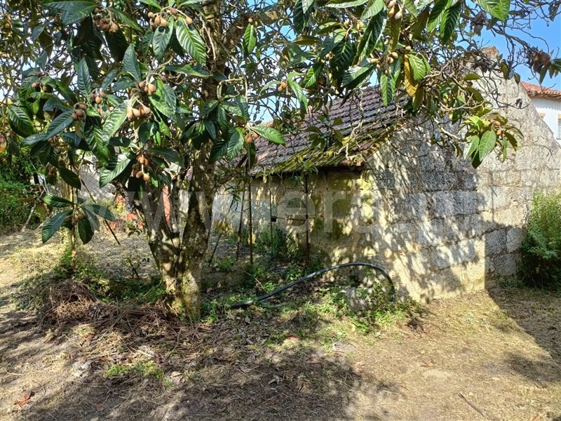 Moradia T3 com Terreno Nelas, Canas de Senhorim - 1464025 - 25