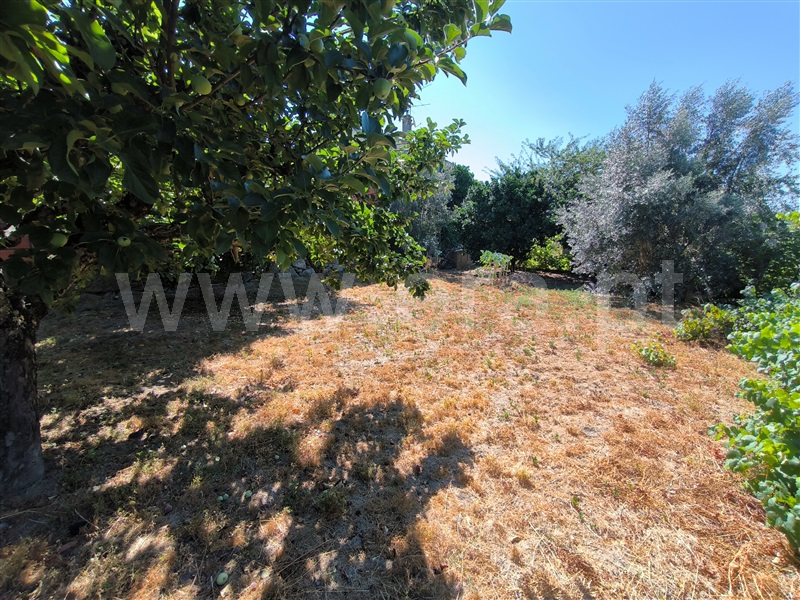 Moradia T3 Nelas - 1464753 - 35