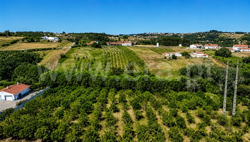 Moradia T3 à venda em A dos Negros, Óbidos — foto 18