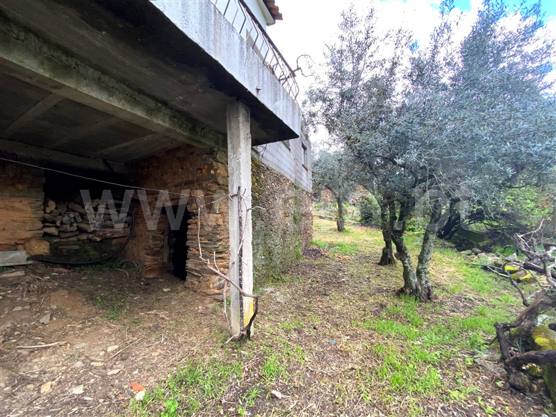 Moradia T3 Oleiros, Orvalho - 1392527 - 47
