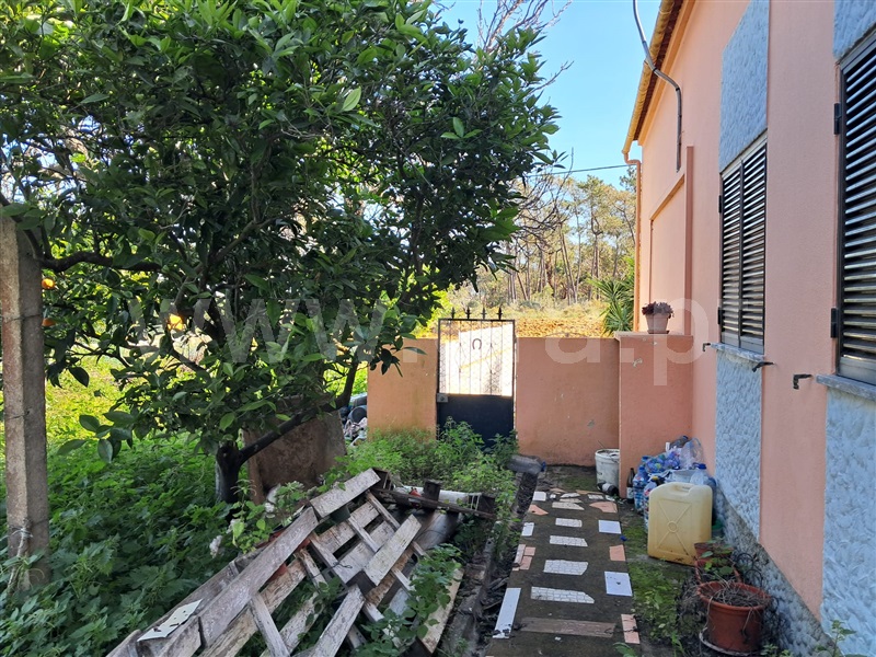 Moradia T3 Olhão, Pechão - 1492769 - 5