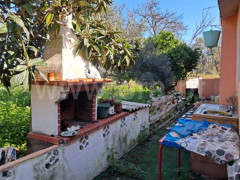 Moradia T3 Olhão, Pechão - 1492769 - 6