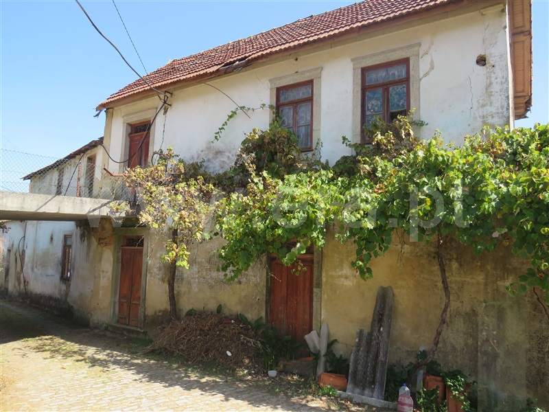 Moradia T3 / Oliveira de Azeméis, Ossela