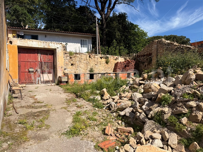 Moradia T3 à venda em Pinheiro da Bemposta, Travanca e Palmaz, Oliveira de Azeméis — foto 10