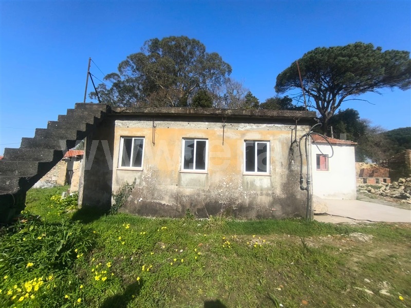 Moradia T3 à venda em Pinheiro da Bemposta, Travanca e Palmaz, Oliveira de Azeméis — foto 6