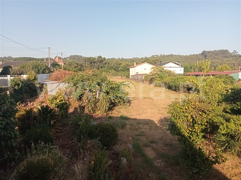 Moradia T3 Oliveira de Azeméis, Pinheiro da Bemposta - 1496544 - 17
Terreno