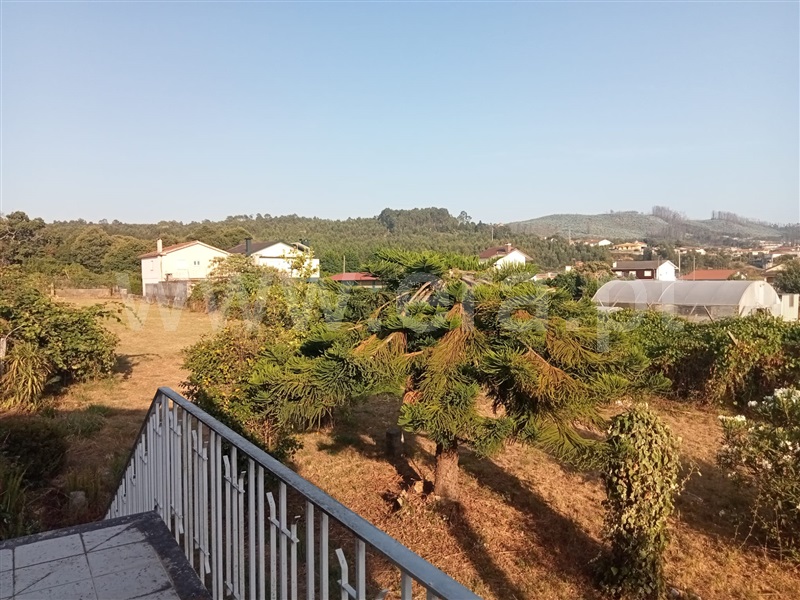 Moradia T3 Oliveira de Azeméis, Pinheiro da Bemposta - 1496544 - 18
Terreno
