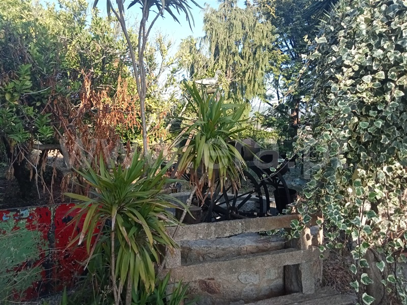 Moradia T3 Oliveira de Azeméis, Pinheiro da Bemposta - 1496544 - 20
Jardim