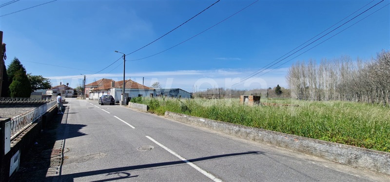Prédio  Oliveira do Bairro, Bustos, Troviscal e Mamarrosa - 1471505 - 2