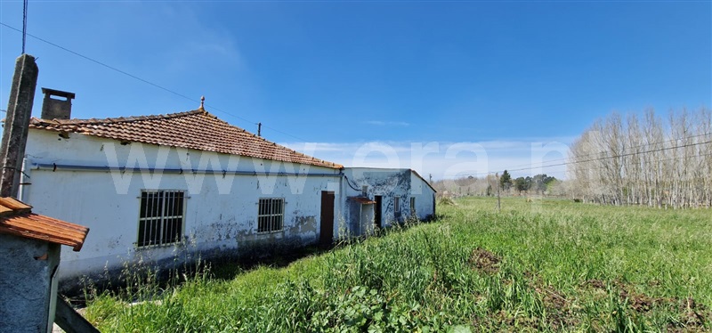 Prédio  Oliveira do Bairro, Bustos, Troviscal e Mamarrosa - 1471505 - 3