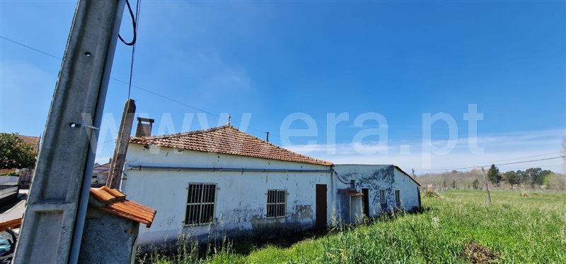 Prédio  Oliveira do Bairro, Bustos, Troviscal e Mamarrosa - 1471505 - 5